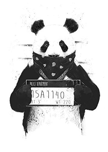 Gango Home Décor Bad Panda | Black And White Panda Bear; One 11x14in Poster Print