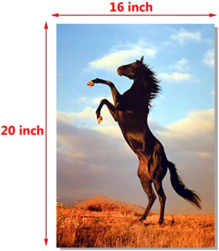 Wild Black Stallion Horse Rearing Animal Wall Decor Art Print Poster (16x20)