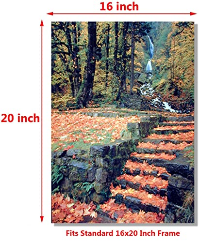 Waterfall And Fallen Autumn Leaves On Steps Scenery Nature Picture Wall Decor Art Print Poster (16x20)