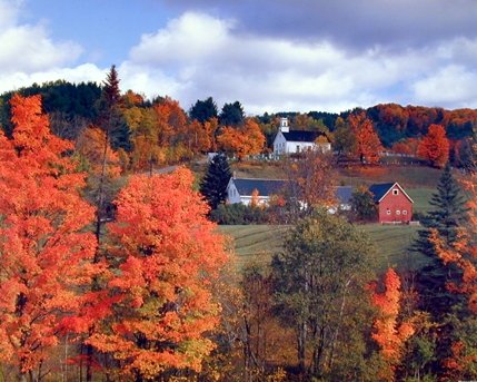 Nature Scenery Autumn Red Landscape Forest Trees Wall Decor Art Print Posters (16x20)