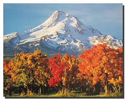 Red Tree Winter Nature Scenery Snow Mountain Landscape Wall Decor Art Print Poster (16x20)