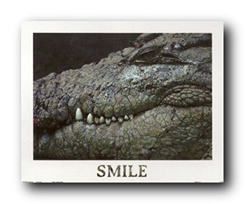 Wild Animal Smiley Face Crocodile Wall Decor Alligator Picture Art Print Poster (16x20)