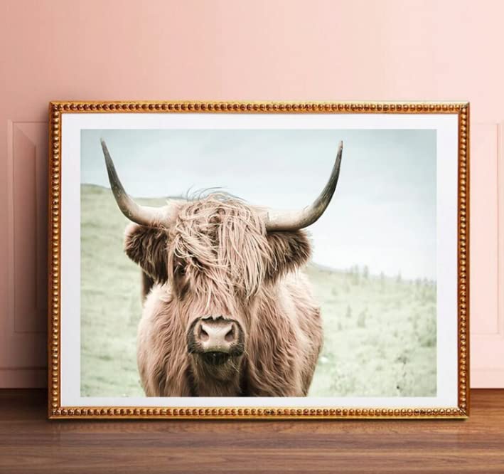 Highland Cow Photography, Highland Cow Print, Bedroom Prints, Bison Print, Farm Print, Wall Decor, Poster,Buffalo Print, Bull Wall Art - 11x14 Poster Print - Unframed