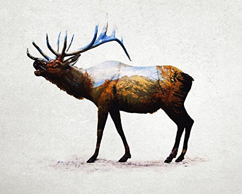 Gango Home Decor Rustic Elk, Bison, Wolf and Bear Landscape Set; Cabin Lodge Decor; Four 10x8in Unframed Poster Print