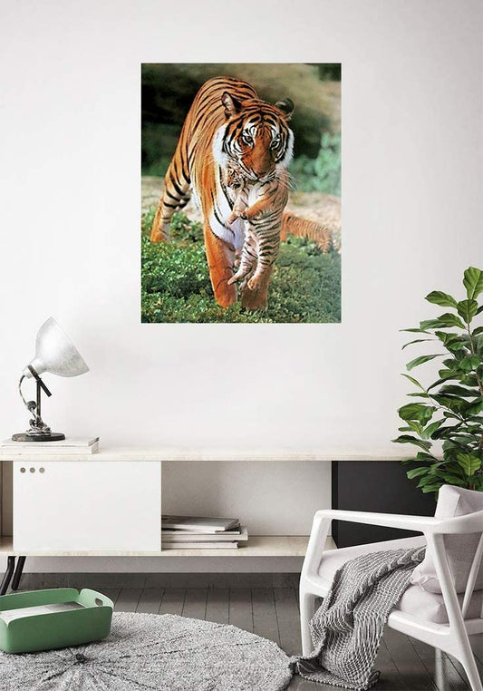 Wild Animal Wall Decor Bengal Tiger and Cub Art Print Poster (16x20)