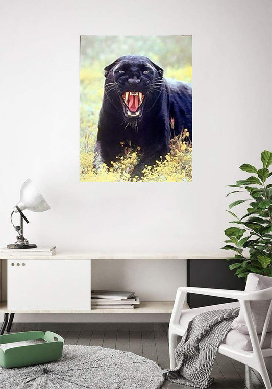 Wildlife Animal Picture Wall Decor Art Print Snarling Black Panther (Leopard) Poster (16x20)