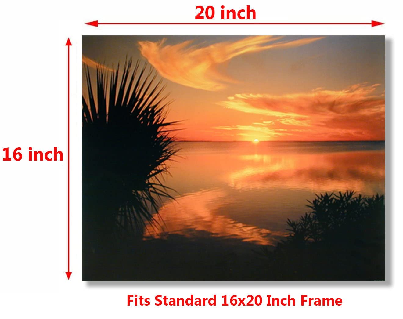 Impact Posters Gallery Nature Ocean Sunset Laguna Beach Madre Texas Scenery Landscape Wall Decor Art Prints Poster (16x20)