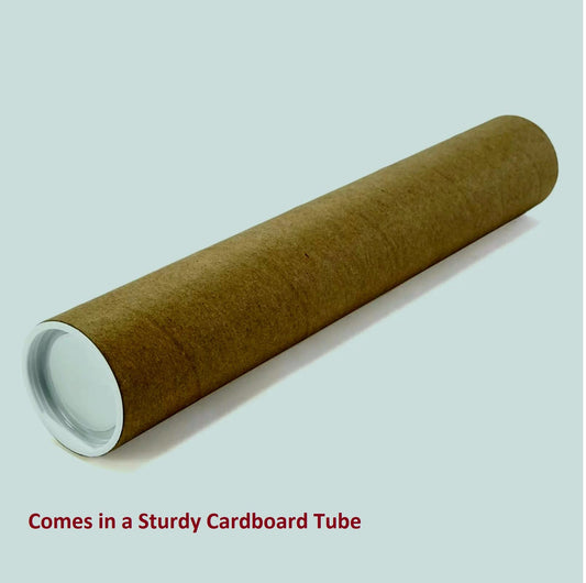 Wall Decor Wild Tiger and Cubs Wildlife Animal Art Print Poster (16x20)