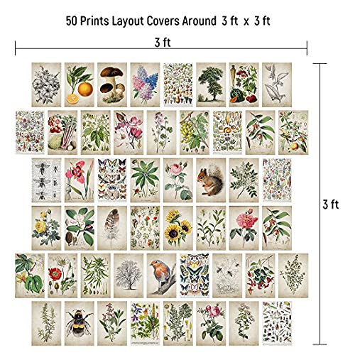 Vintage Posters for Room Aesthetic, Botanical Wall Collage Kit, Bedroom Wall Decor, Room Decor Aesthetic, Collage Kit, Vintage Plant Wall Art Print Pictures, Cottagecore Decor