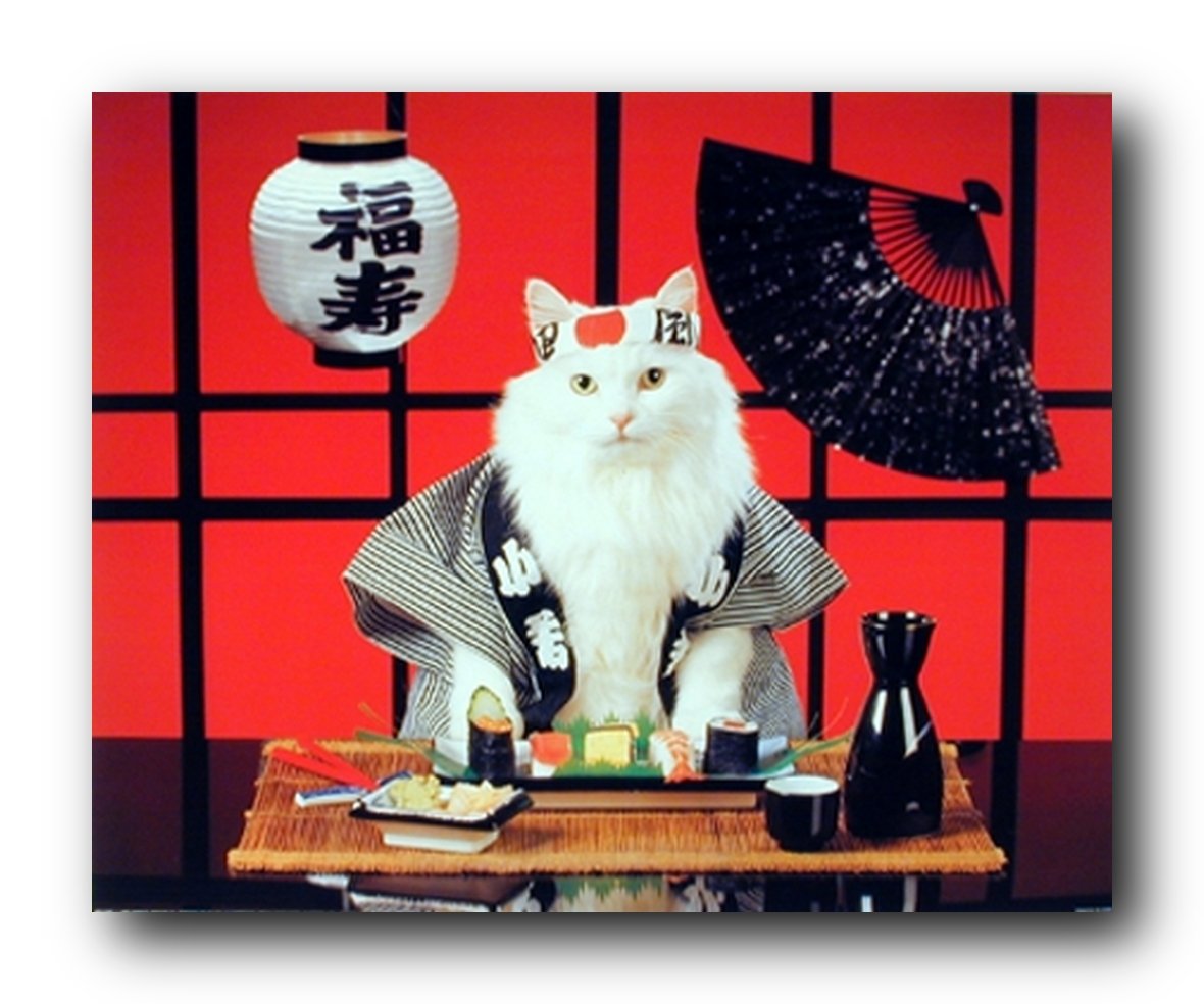Sushi Cat (Japanese) Cute Kitten Art Print Poster (16x20)