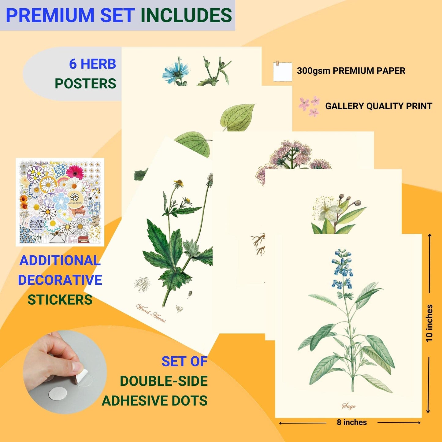 CHUNART Vintage Kitchen Herb Art Prints: Set of 6 Timeless Herb Decor Wall Art and Medical Herb Poster for the Kitchen Connoisseur