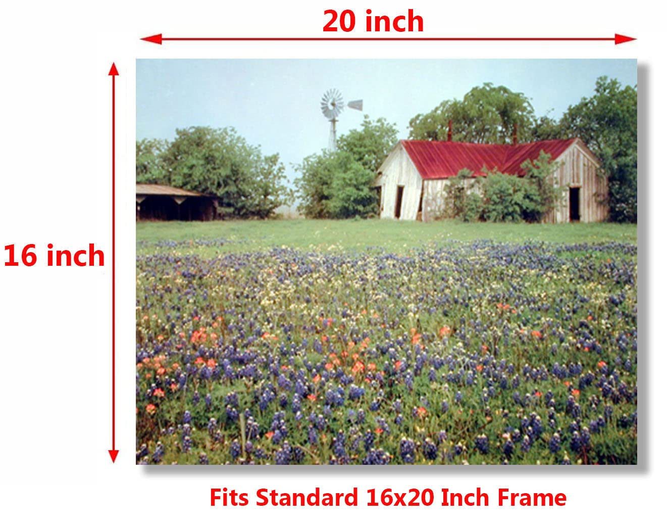 Old Barn & Flowers Field Scenery Nature Landscape Wall Decor Art Print Poster (16x20)