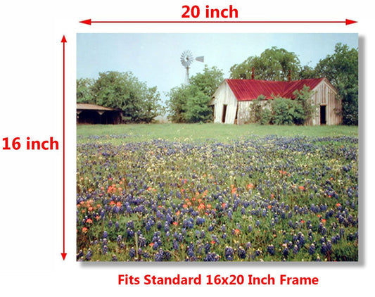 Old Barn & Flowers Field Scenery Nature Landscape Wall Decor Art Print Poster (16x20)