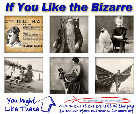 Quirky California Ostrich - Weird Vintage Photo - Great for Home or Office Decor, Black and White Old Strange Photo, Great Gift for Animal Lovers, 11x14 Funny Unframed Print Poster
