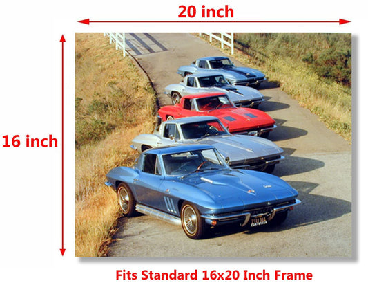 Chevy Corvettes in a Row Transportation Vintage Car Wall Decor Art Print Poster (16x20)