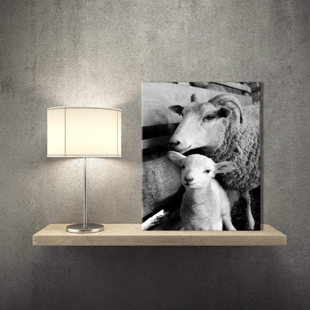 Black and White Animals Canvas Wall Decor Art Cute Little Sheep Lamb Picture Prints and Farmhouse Poster for Home Living Room Decoration IXMAH (8x10inch NO Framed)