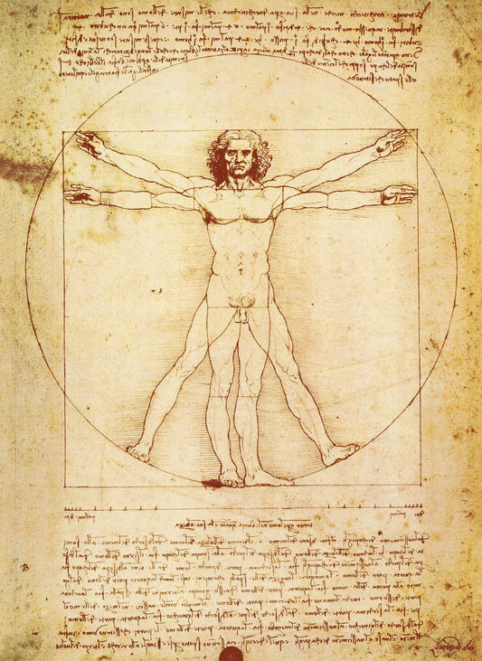 2 Pack - Vitruvian Man by Leonardo Da Vinci + Vincent Van Gogh Skeleton Poster - Fin Art Prints (LAMINATED, 18" x 24")