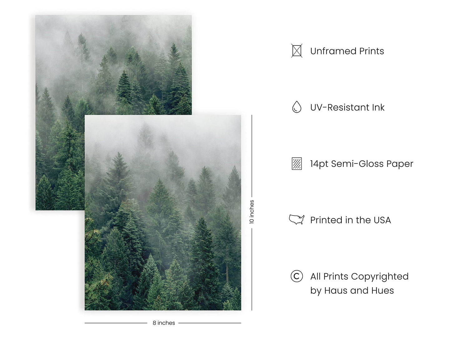HAUS AND HUES Misty Forest Print Nature Poster - Forest Posters Landscape Photography Prints | Tree Posters and Mountain Decor Mountain Photography Poster Mountains Landscape | (Unframed 8x10)
