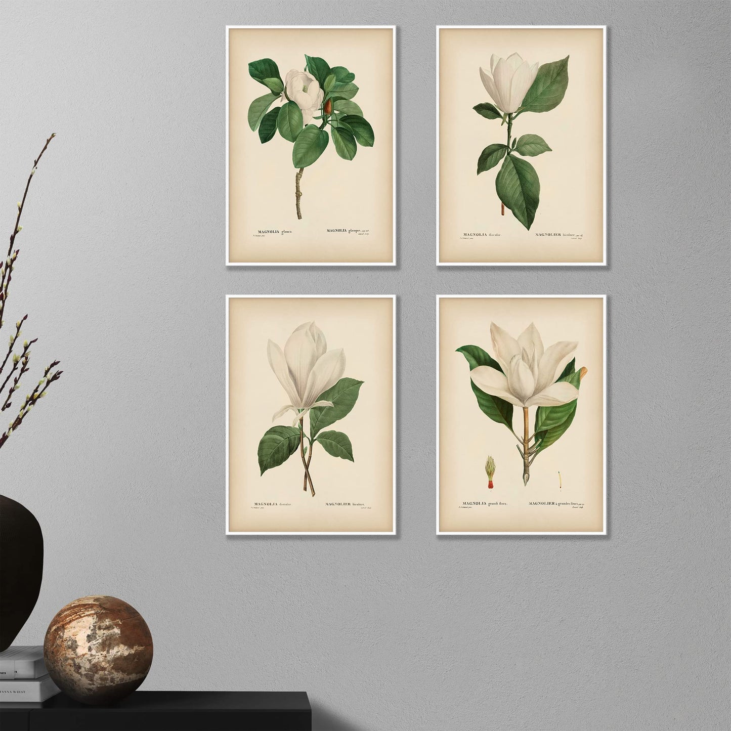 Vintage Pink Magnolia Minimal Floral Prints (4 PRINTS) | Modern Wall Art Victorian Illustration UNFRAMED Modern Decorations | Antique Decor Boho Abstract Set Aesthetic | Living Room Bedroom Bathroom Office Kitchen Large Poster | Boy Girls Teen Kids Baby |