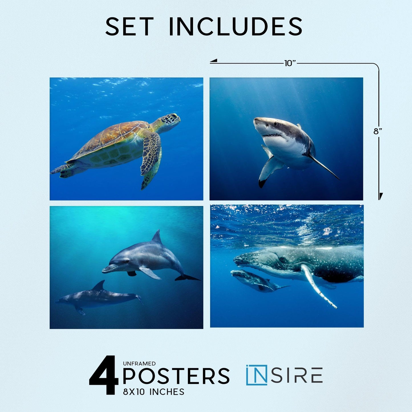 Insire Ocean Print Poster, Whale Shark Poster, Whale Poster, Dolphin Poster, Whale Pictures, Sea Turtle Poster, Dolphin Posters for a Wall, Shark Posters for Walls - Unframed (8x10”)