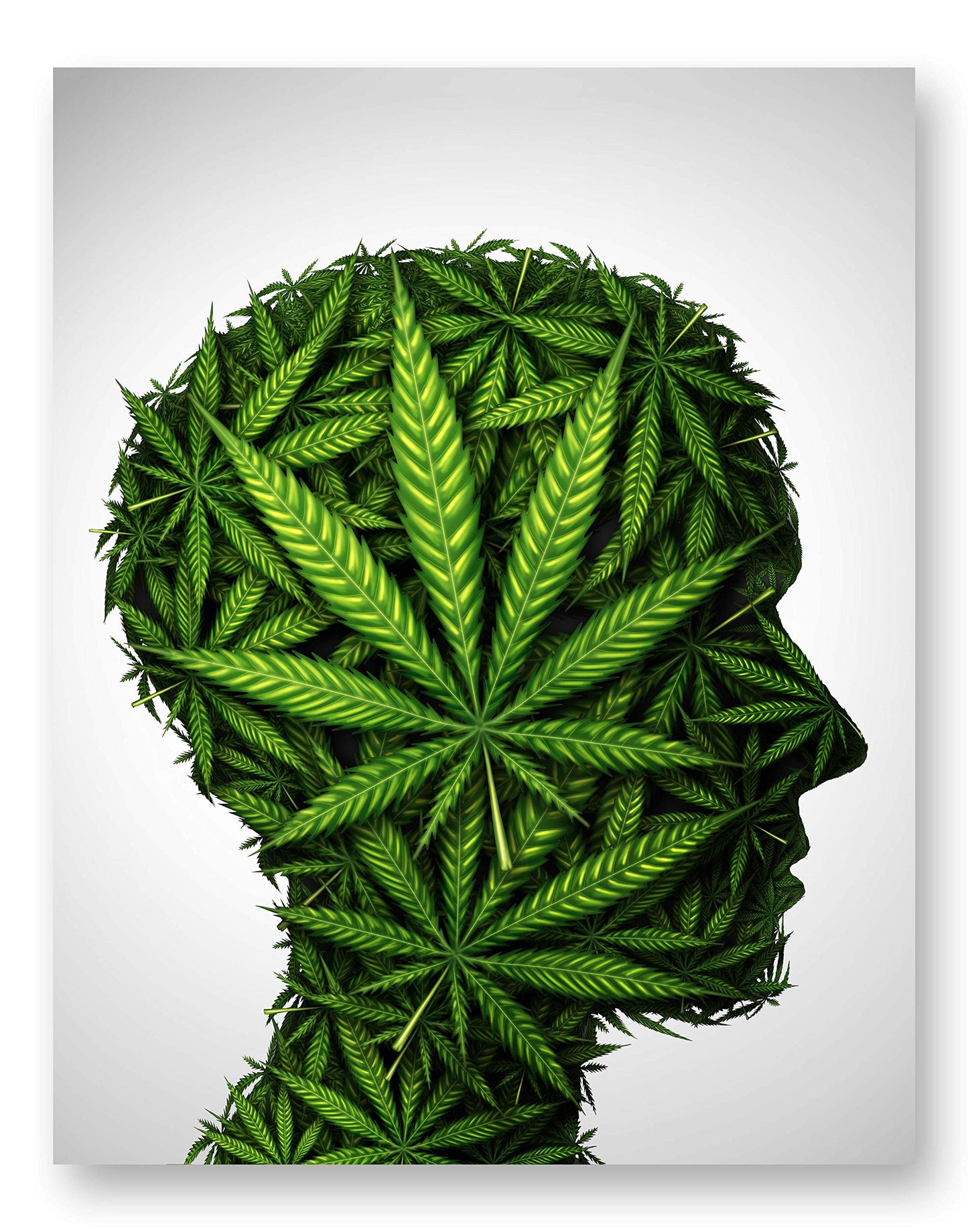 Pot Head Poster Print - (11 inches x 14 inches) Glossy Marijuana Cannabis Wall Art Decor