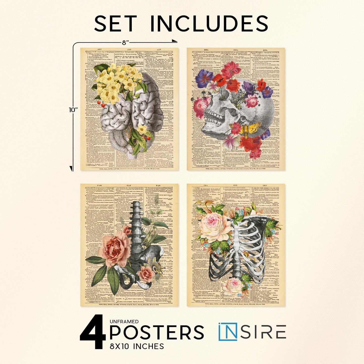 Insire Anatomy Art, Anatomy Wall Art, Medical Art Wall Decor, Human Anatomy Decor, Anatomy Pictures Wall Decor, Anatomy Posters Aesthetic, Skull Pictures - Unframed (8x10”)