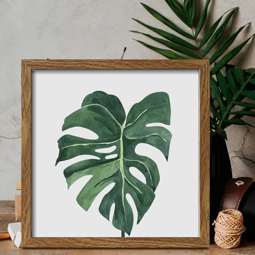 ArtbyHannah Framed Bathroom Wall Art Set of 4 for Botanical Wall Decor Green Plant Picture Frame Collage Set for Home Living Room Decoration (Walnut, 10x10)