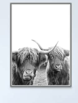 ShopHaven Highland Cow Print, White and Black Cow Print, Bison Print, Farm Print, Animal Wall Decor, Buffalo Print, Bull Wall Art - 11x14 Poster Print - Unframed