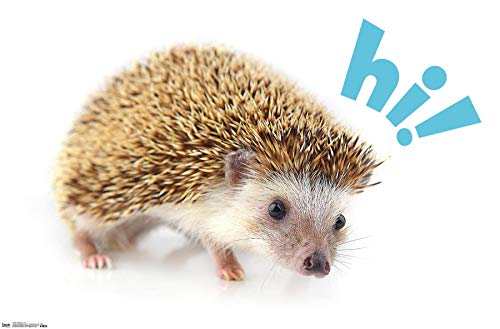 Trends International Cute Hedgehog - Hi! Wall Poster, 22.375" x 34", Unframed Version