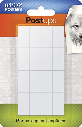 Trends International Map-Canada Wall Poster, 22.375" x 34", Poster & Mount Bundle for Kids Room