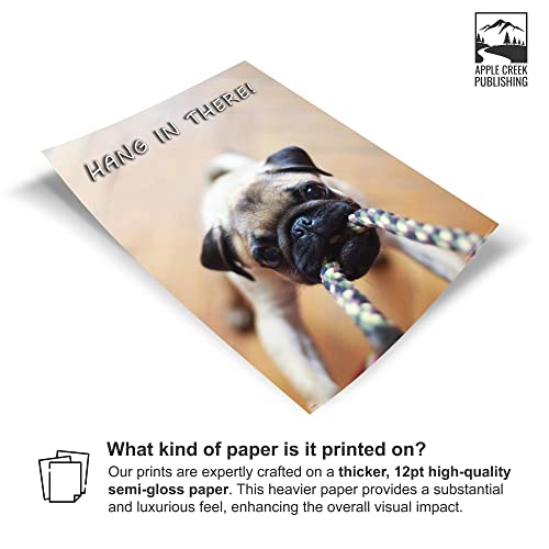 Apple Creek Hang in There Dog Cat Motivational Poster Art Print Veterinarian Groomer Gifts Treats Bones 11x14 Wall Decor Pictures