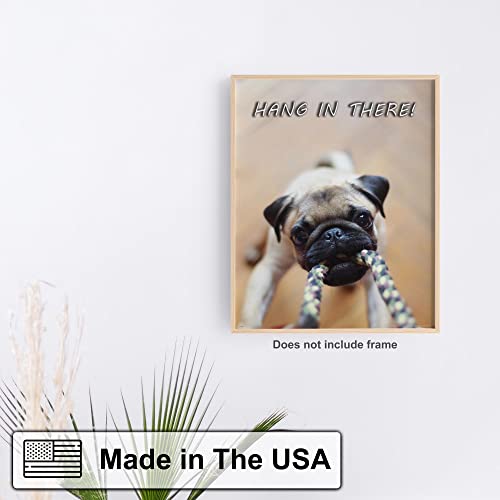 Apple Creek Hang in There Dog Cat Motivational Poster Art Print Veterinarian Groomer Gifts Treats Bones 11x14 Wall Decor Pictures