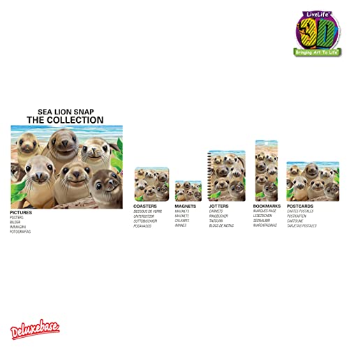 3D LiveLife Lenticular Wall Art Prints - Sea Lion Snap from Deluxebase. Unframed 3D Ocean Poster. Perfect wall decor. Original artwork licensed from renowned artist, Michael Searle