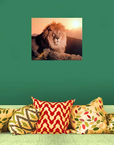Lion King At Sunset African Wildlife Animal Wall Decor Art Print Poster (16x20)