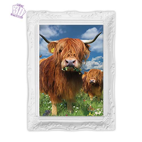 3D LiveLife Lenticular Wall Art Prints - Highland Cattle from Deluxebase. Unframed 3D Cow Poster. Perfect wall decor. Original artwork licensed from renowned artist, David Penfound