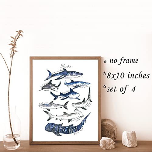 VNWEK Watercolor Rustic Sharks and Whales Wall Art Poster Prints Unframed 8”x10”Set Of 4,Farmhouse Marine Life Decorations for Home Bedroom Living Room Classroom,Gifts For Marine Life Lovers Students