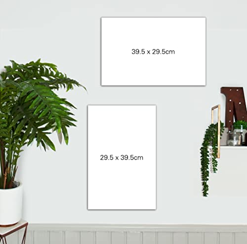 3D LiveLife Lenticular Wall Art Prints - Eat My Dust from Deluxebase. Unframed 3D Lion Poster. Perfect wall decor. Original artwork licensed from renowned artist, Collin Bogle