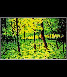 Summer Woods Flocked Blacklight Poster Art Print 36 x 24in