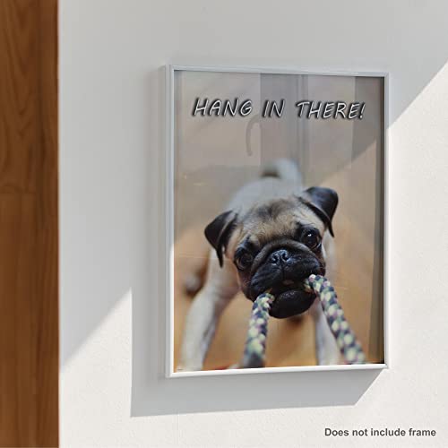 Apple Creek Hang in There Dog Cat Motivational Poster Art Print Veterinarian Groomer Gifts Treats Bones 11x14 Wall Decor Pictures