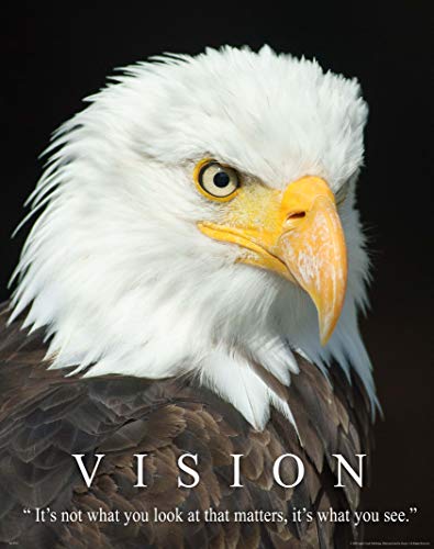 Apple Creek Bald Eagle Wildlife Motivational Poster Art Print 11x14 Vision School Classroom Wall Decor Pictures