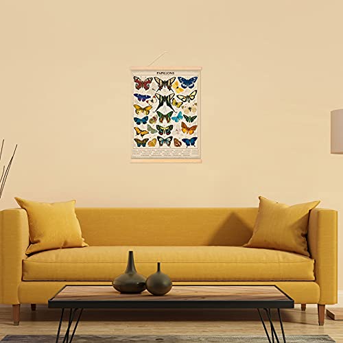 Vintage Papillons Butterflies Poster Butterflies Wall Art Prints Rustic Style of Butterflies Wall Hanging for Living Room Office Classroom Bedroom Playroom Dining Room Decor Frame 15.7 x 19.7 Inch