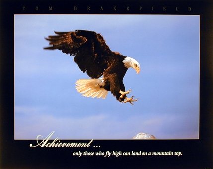 Eagle Bald Diving Landing Achievement Wild Bird Wall Decor Animal Art Print Poster (16x20)