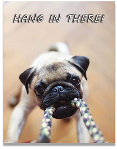 Apple Creek Hang in There Dog Cat Motivational Poster Art Print Veterinarian Groomer Gifts Treats Bones 11x14 Wall Decor Pictures