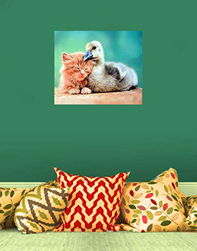 Cute Cat and Duckling Friends Kids Room Animal Art Print Poster (16x20)