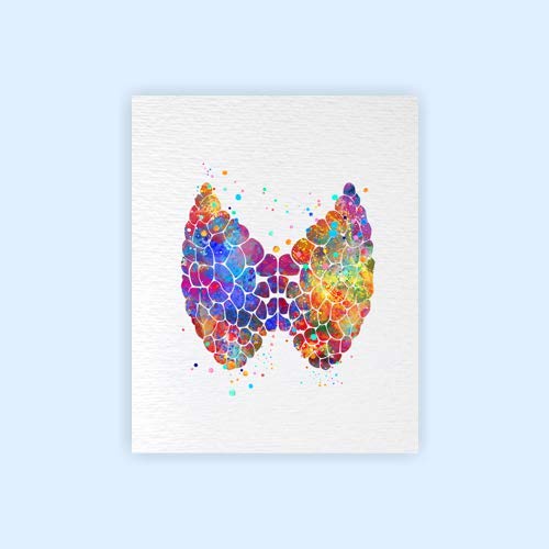 Dignovel Studios 8X10 Unframed Thyroid Gland Anatomy Human Body Abstract Medical Art Science Doctor Clinic Watercolor Art Print Poster Wall Art Nursery Kids Office Home Decor DN595