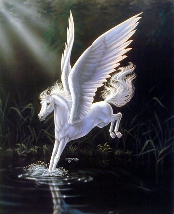 Fantasy Horse Wall Decor Mythical White Pegasus Sue Dawe Art Print Poster (16x20)