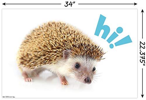 Trends International Cute Hedgehog - Hi! Wall Poster, 22.375" x 34", Unframed Version