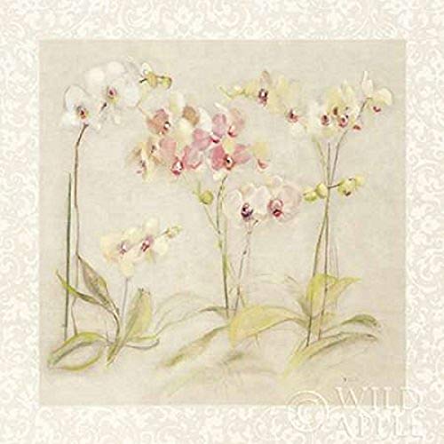 The Dance of the Orchids Poster Print by Cheri Blum (12 x 12)