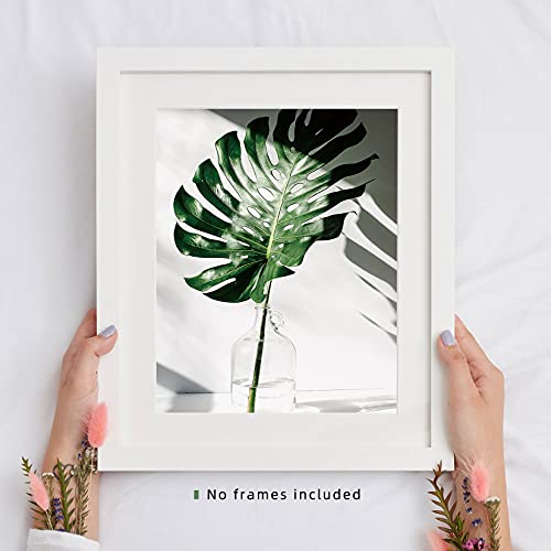Botanical Prints Poster Wall Decor, Motivational Wall Art Prints Poster, 8x10 Canvas Prints Unframed Set of 4, Plant Posters Aesthetic for Bedroom