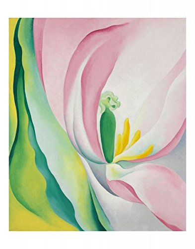 Bruce McGaw Graphics Pink Tulip, 1926 by Georgia O'Keeffe, Art Print Poster - Paper Size 11" x 14" Image Size 10" x 12" (457)